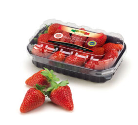Fragole Solarelli della Basilicata IGP in confezione da 300g e fragole sparse.
