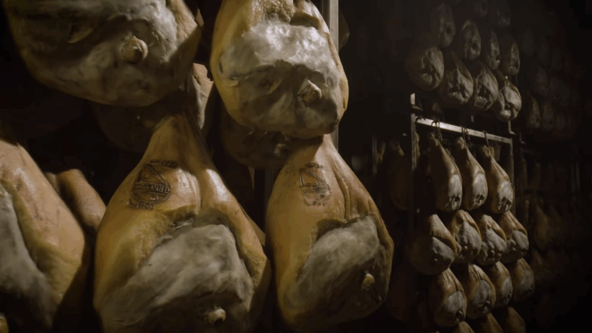 Stagionatura prosciutti crudi Cuneo. Salumificio Cavallo. Carni Dock.