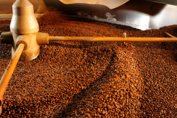 Tostatrice industriale per caffè in grani. Macchinario per la torrefazione del caffè.