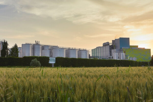 Stabilimento Cereal Docks Heliapro: silos, campo di grano e cielo al tramonto.