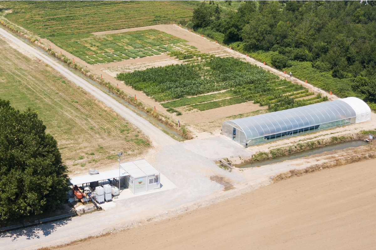MartinoRossi per l’agricoltura sostenibile: partnership con Amadori e Galbusera
