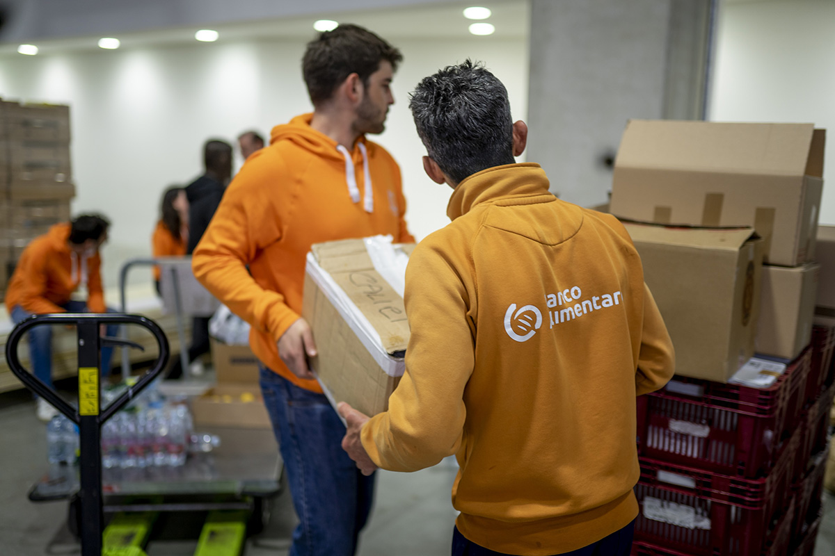 Volontari Banco Alimentare smistano donazioni. Lotta allo spreco alimentare.