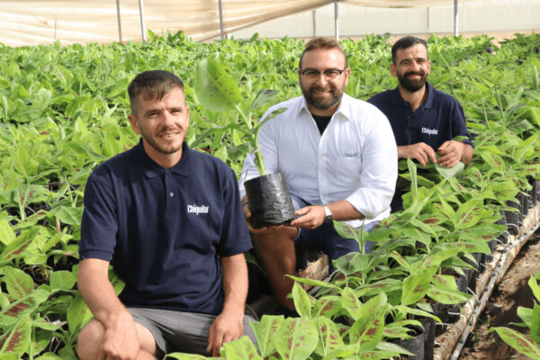 Chiquita, Sicilia, banane, Alba Bio