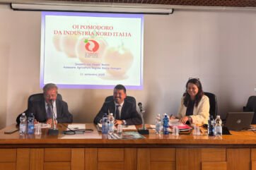 Pomodoro da industria, rese in calo ma qualità record al Nord