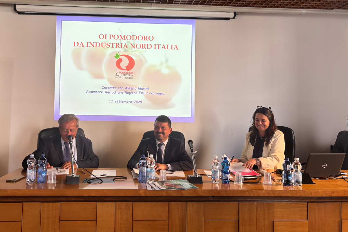 Pomodoro da industria, rese in calo ma qualità record al Nord