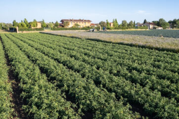 Svolta green per Findus: Nomad Foods punta al net zero