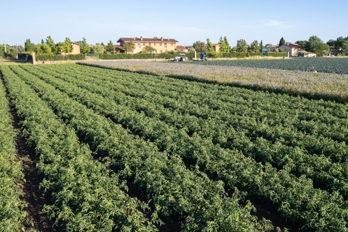 Svolta green per Findus: Nomad Foods punta al net zero