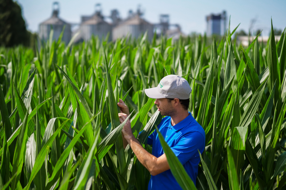 Crescita, sostenibilità e innovazione: MartinoRossi Punta sulla Filiera Agricola