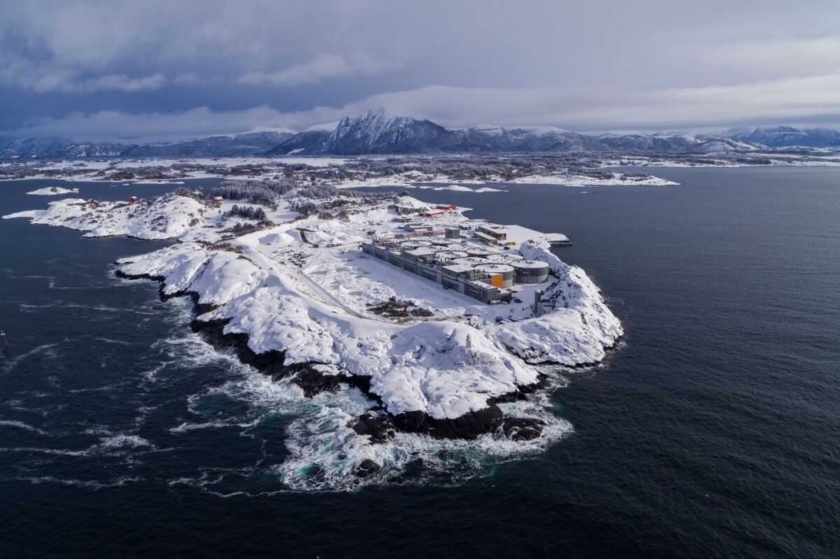 Con il marchio The Icelander arriva in Italia il salmone responsabile