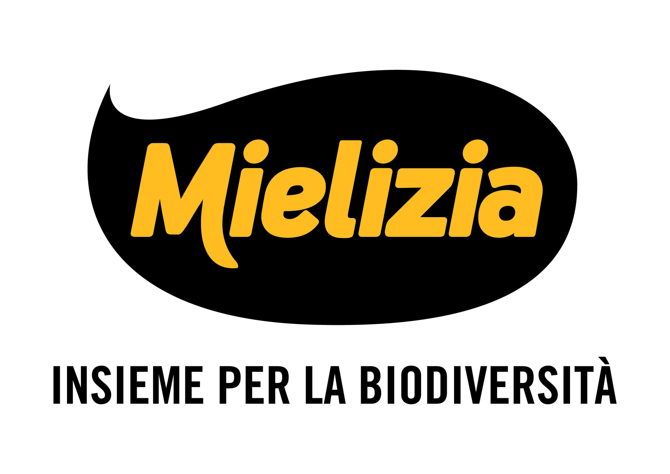 Logo Mielizia