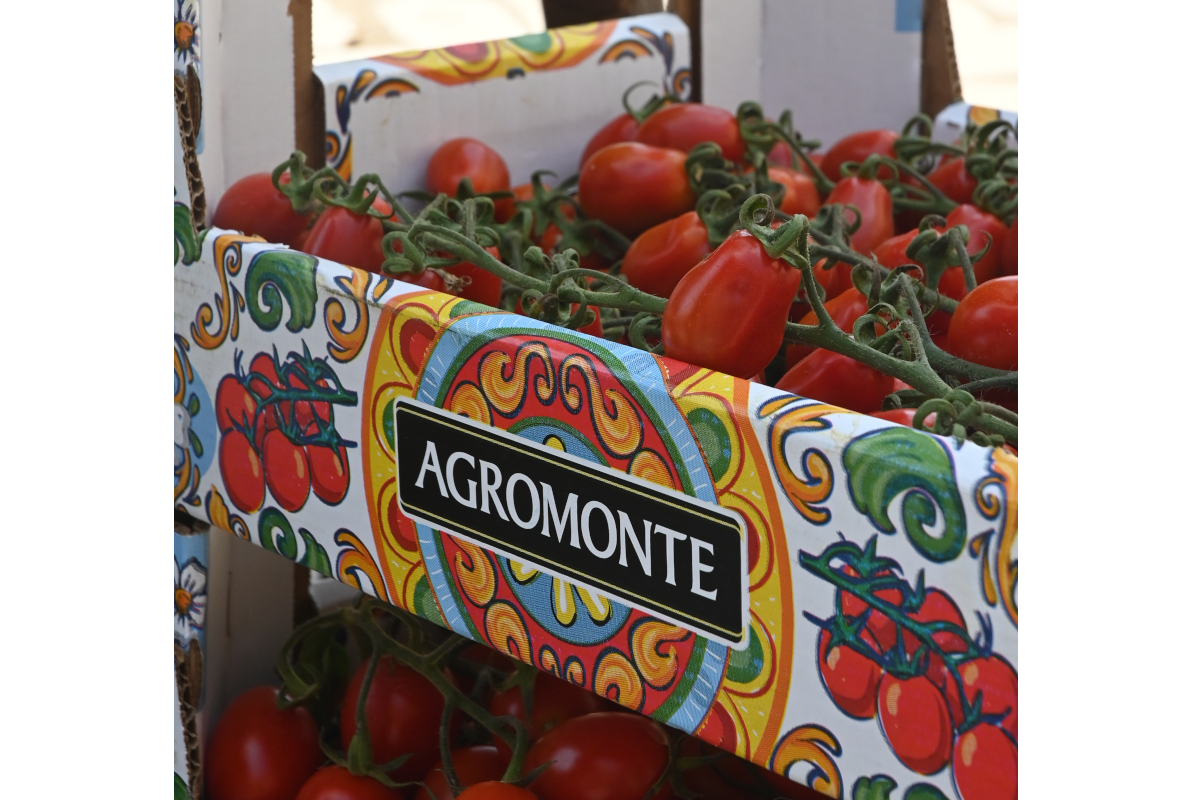 Pomodori Agromonte in cassa decorata. Ciliegino fresco su ramo, prodotto tipico siciliano.