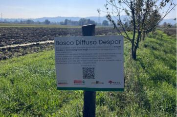 Bosco Diffuso Despar: cartello informativo su riforestazione, alberi e impegno ambientale. Natura e territorio italiano.