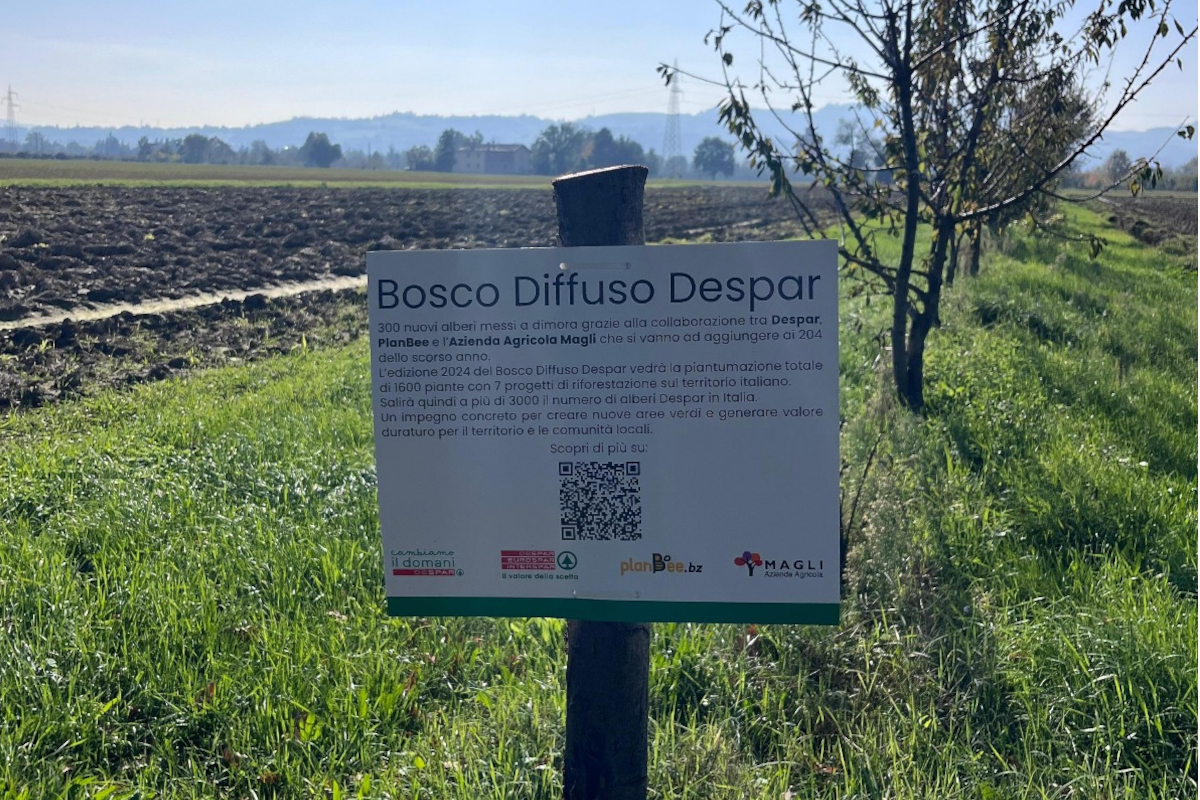 Bosco Diffuso Despar: cartello informativo su riforestazione, alberi e impegno ambientale. Natura e territorio italiano.