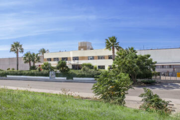 Sede Laurieri: edificio moderno con palme. Architettura aziendale, uffici e spazi verdi.