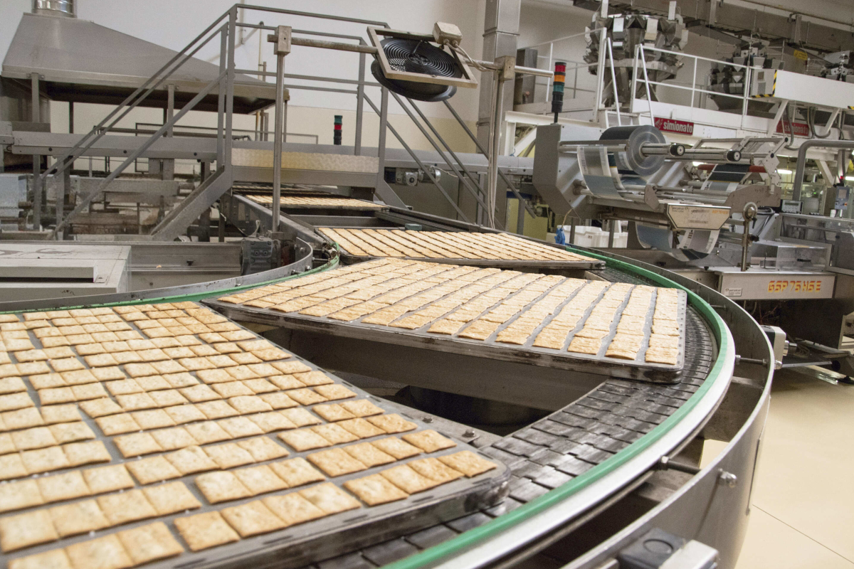 Produzione di crackers Laurieri: linea di produzione industriale con biscotti su nastro trasportatore.