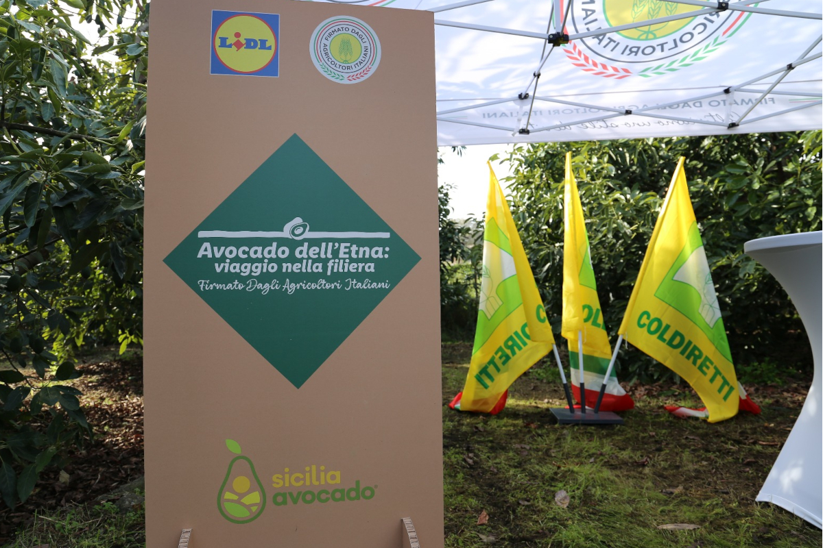 Avocado Sicilia Lidl: cartello Avocado dell'Etna e bandiere Coldiretti.