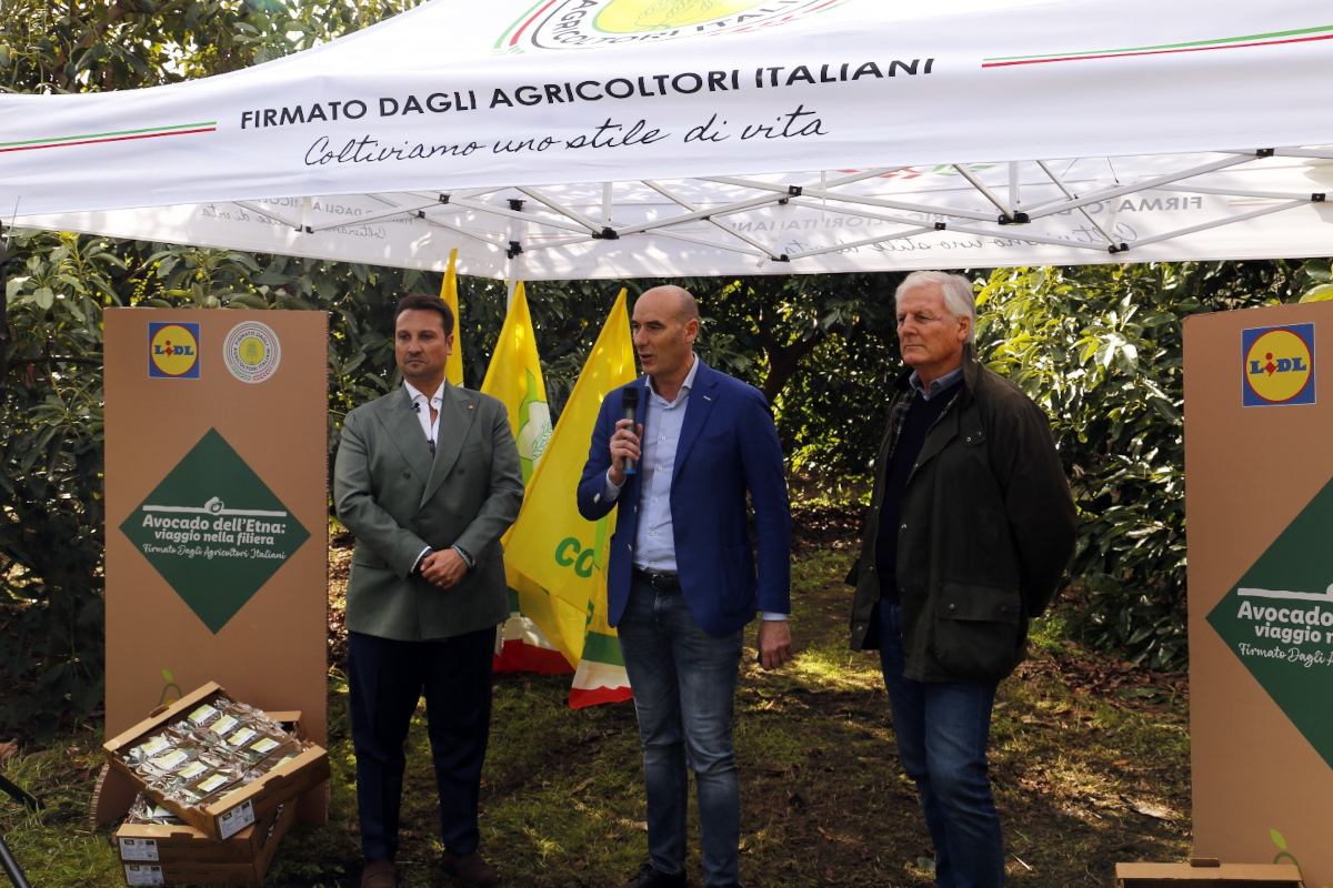 Lidl Italia e avocado siciliano: presentazione con agricoltori. Etna, filiera italiana.