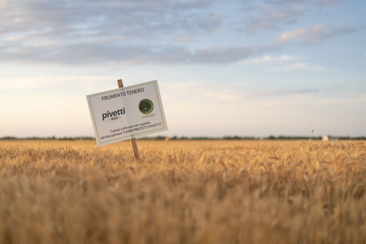 I 150 anni di Molini Pivetti, tra storia e innovazione