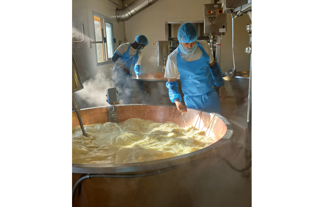 Casari al lavoro. Produzione artigianale di formaggio in caldaia di rame. Latte e tradizione casearia italiana. - DalterFood group