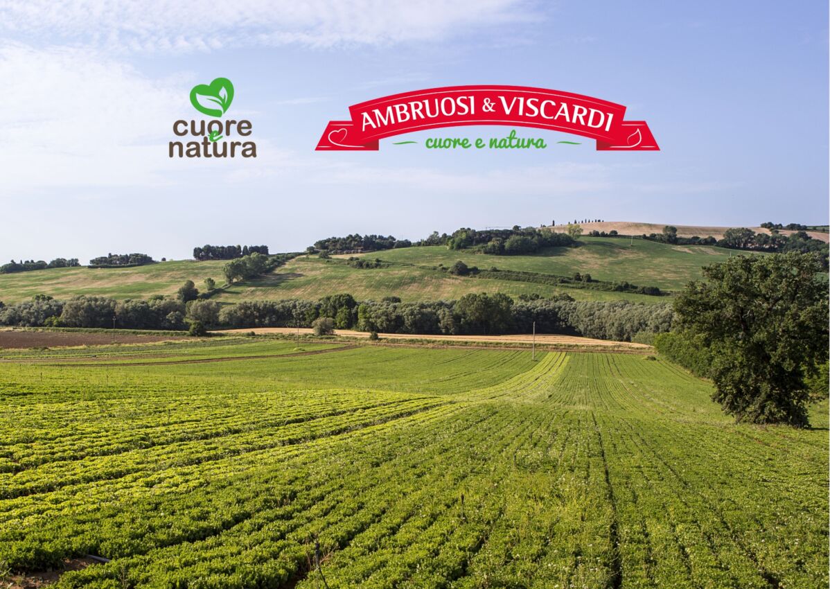 Paesaggio rurale con campo coltivato. Logo Ambruosi & Viscardi e Cuore & Natura. Evoluzione industriale sostenibile.