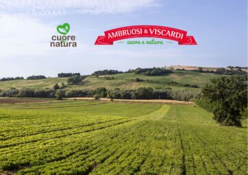 Paesaggio rurale con campo coltivato. Logo Ambruosi & Viscardi e Cuore & Natura. Evoluzione industriale sostenibile.