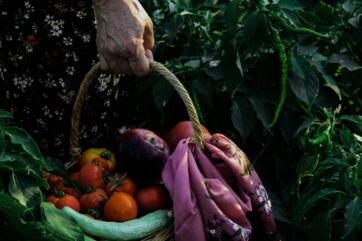 Cesto di frutta e verdura biologica. Prodotti agricoli freschi, filiera corta. Assobio.