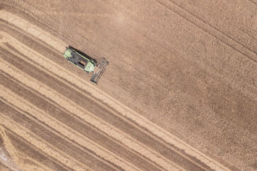 Raccolta grano duro pugliese con mietitrebbia. Filiera Granoro, sostenibilità agricola.