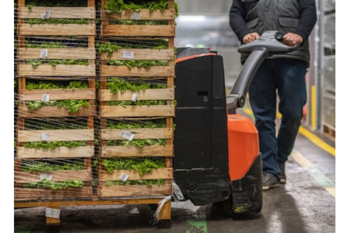 Coop lotta allo spreco: Carrello elevatore con casse di insalata. Iniziativa Buon Fine per ridurre gli sprechi alimentari.