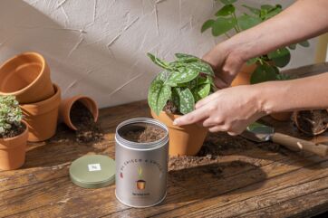 Nespresso celebra la linea Professional: menu stellato a base di caffè e focus sulla sostenibilità