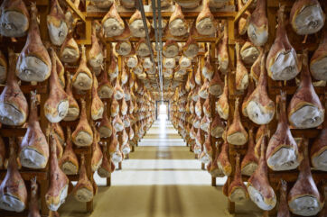 Stagionatura Prosciutto di San Daniele. File di prosciutti appesi per la stagionatura. Salumificio.