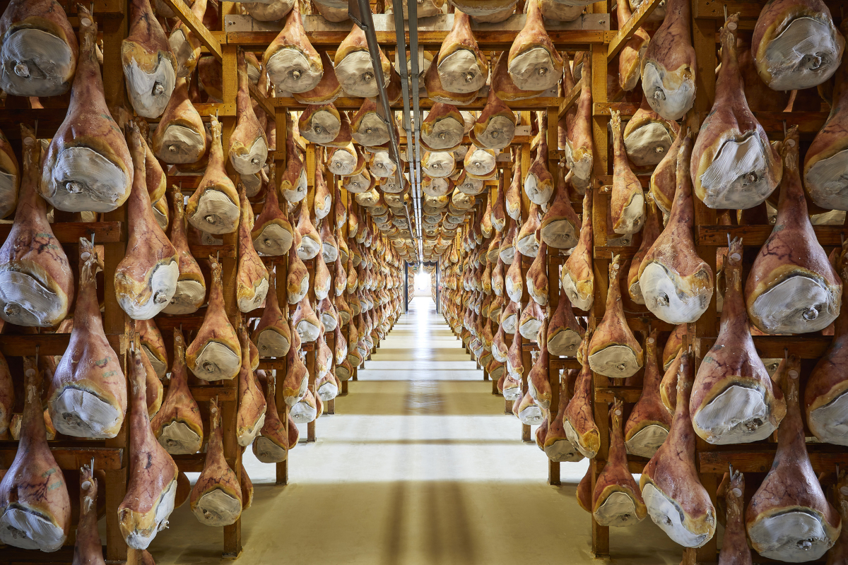 Stagionatura Prosciutto di San Daniele. File di prosciutti appesi per la stagionatura. Salumificio.