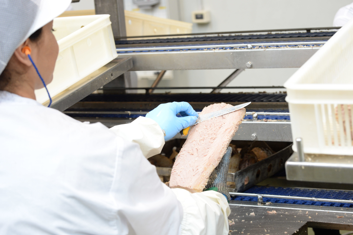 Lavorazione artigianale del tonno Callipo. Donna taglia trancio di tonno.