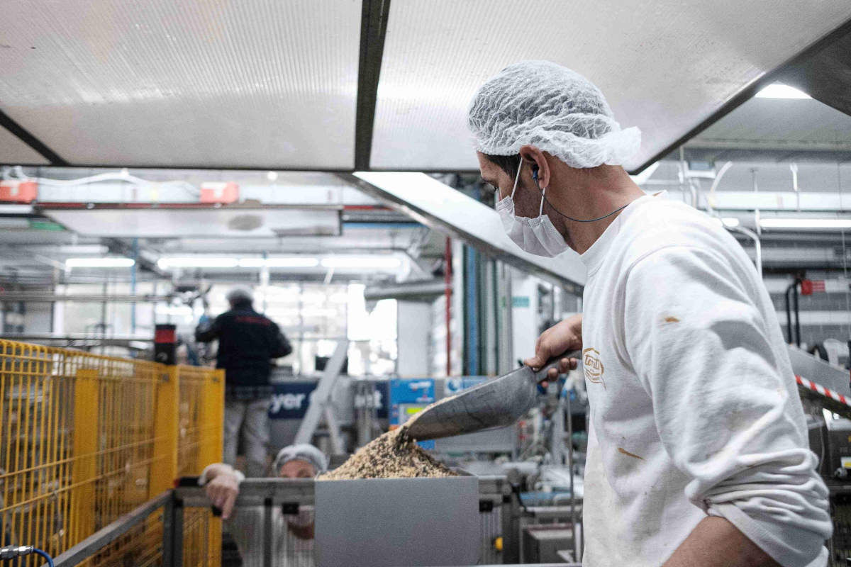 Lavorazione gelato Tonitto 1939. Operaio con mascherina e cuffia versa ingredienti - gelato italiano - Produzione artigianale di gelato.