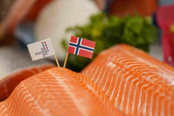 Salmone norvegese fresco con bandiere Seafood from Norway. Pesce di alta qualità.
