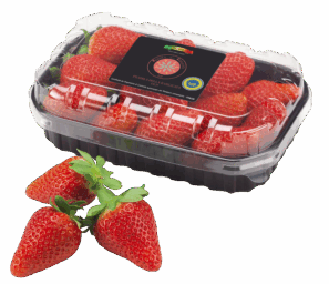 Fragole Solarelli Basilicata I.G.P. in confezione da 300g, rosse e fresche.