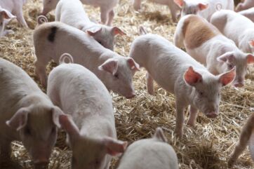 Fumagalli a TuttoFood 2026