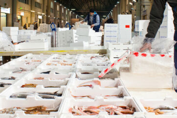 Mercato del pesce: cassette di pesce fresco in vendita. Prezzi Pasqua 2026.