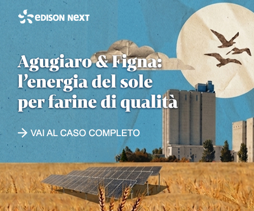 Edison Next Food: energia solare per farine di qualità. Pannelli solari in campo di grano.