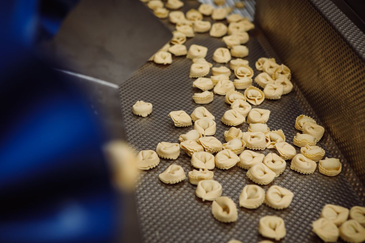 Tortellini freschi su linea di produzione automatizzata, pastificio Scoiattolo.