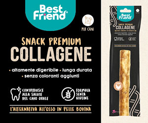 Snack premium al collagene Best Friend per cani, altamente digeribile, senza glutine e ideale per l'igiene orale.
