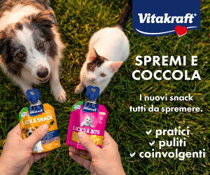 Cane e gatto sull'erba ricevono snack Vitakraft Lick & Snack: premi pratici, puliti e golosi da spremere per animali.