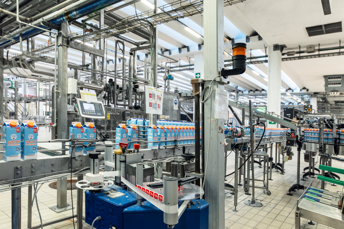 Linea di produzione industriale presso la Centrale del Latte di Roma con confezioni di latte su nastro trasportatore.