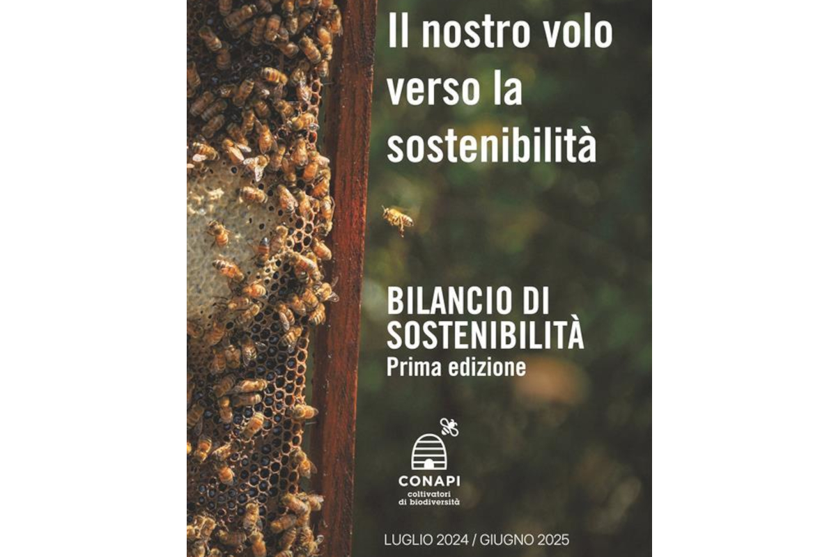 Copertina Bilancio di Sostenibilità Conapi Mielizia con api su favo e testo: Il nostro volo verso la sostenibilità.