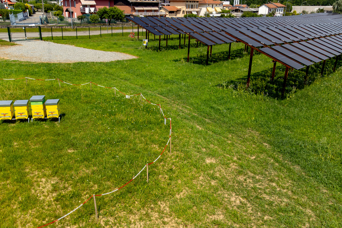 Impianto agrivoltaico a Quaregna Cerreto con pannelli solari e arnie per api, esempio di sostenibilità ambientale Esselunga.