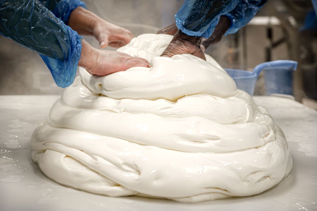 Lavorazione artigianale del Provolone Auricchio: mani esperte modellano la pasta filata fresca in caseificio.