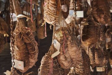 Culatello di Zibello DOP stagionato appeso in cantina, tipico salume italiano legato a mano con spago durante la maturazione.