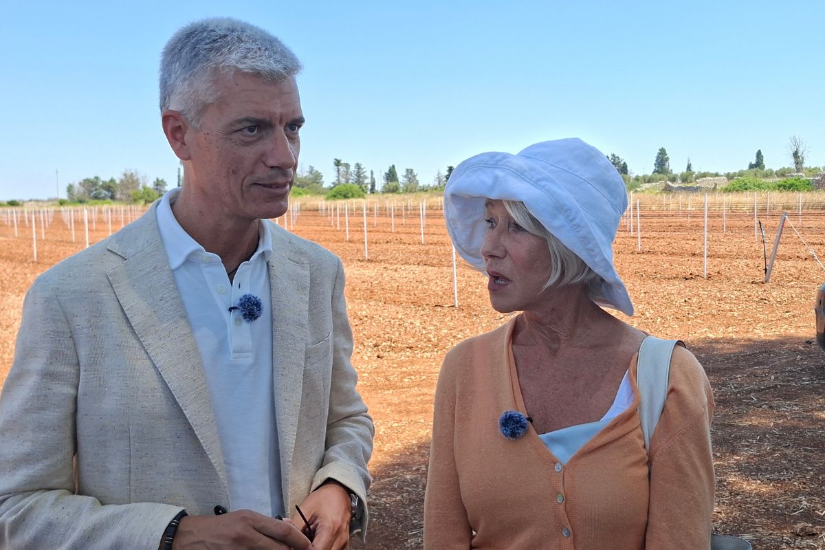 Fabio Maccari di Gruppo Salov e Helen Mirren in un campo pugliese per il progetto contro la Xylella fastidiosa.