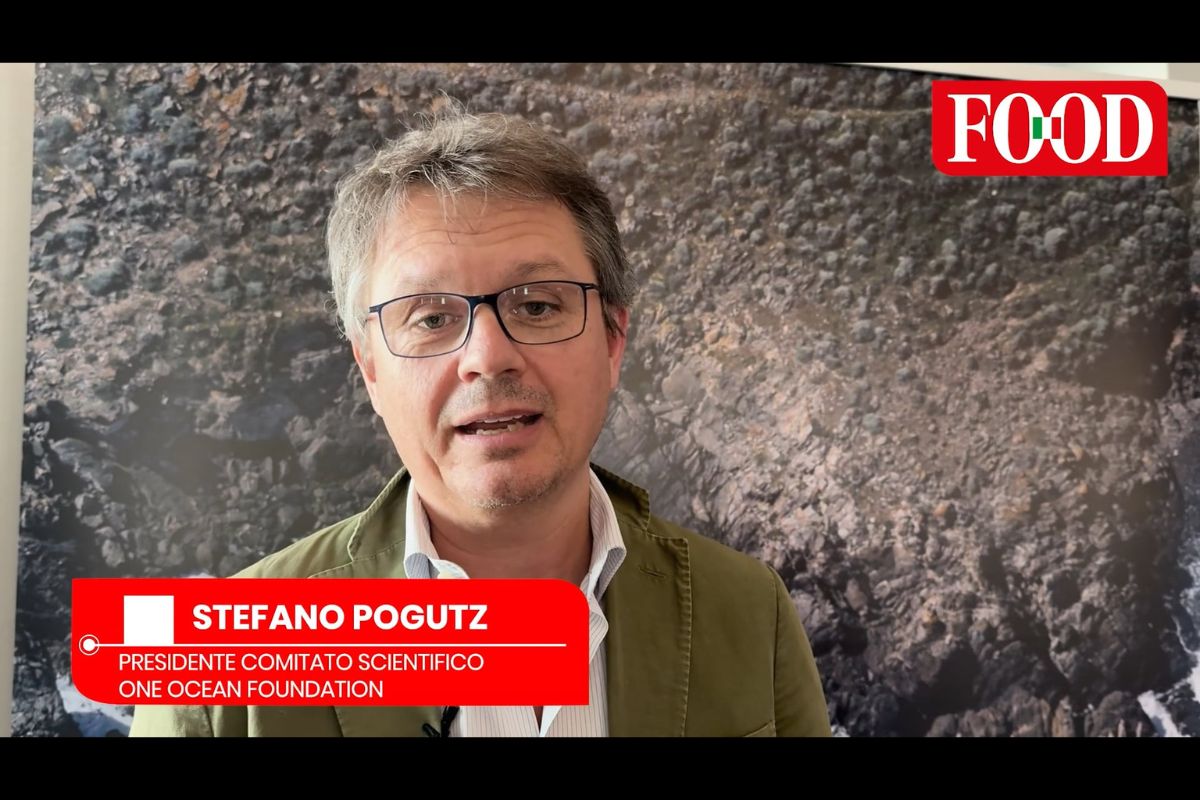 Stefano Pogutz, Presidente Comitato Scientifico One Ocean Foundation, parla di sostenibilità e nutrizione per Food.