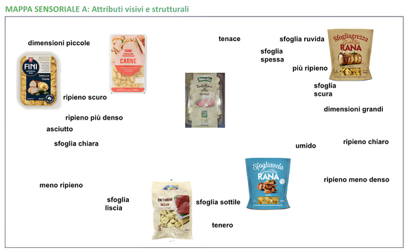 Mappa sensoriale di tortellini con carne: analisi comparativa di attributi visivi e strutturali tra diverse marche.