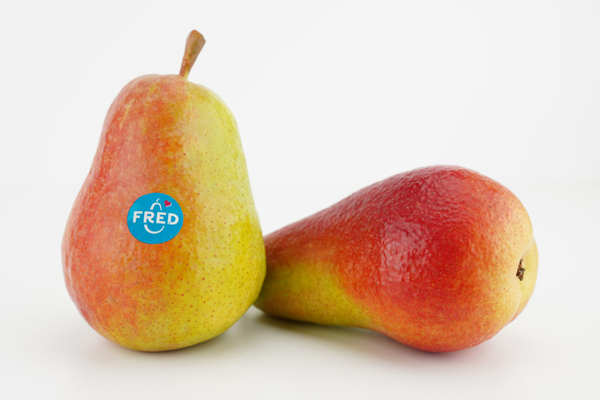 Due pere fresche Apofruit varietà FRED® con buccia bicolore gialla e rossa su sfondo bianco.